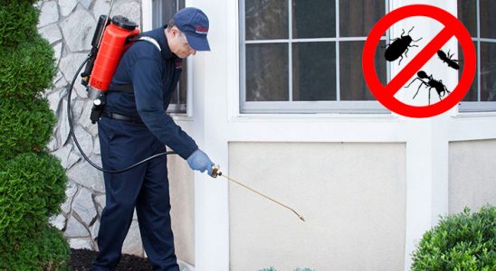 Bahçe Kemirgen İlaçlama böcek ilaçlama ve haşere kontrolü — ilaclama-tr.com